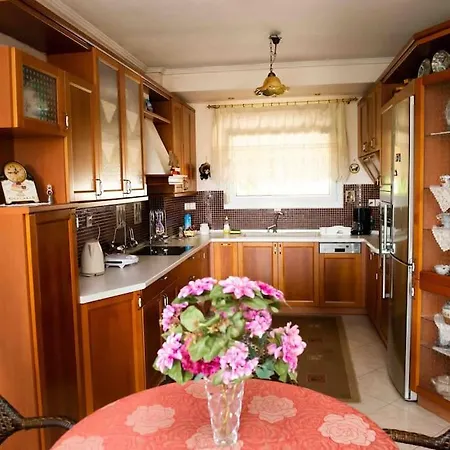 Σπίτι διακοπών Sea View Maisonette Netflix *